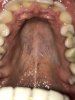 6BA65A74-AFA1-4DD2-903C-DBC0D2033439.jpeg