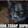Sany77